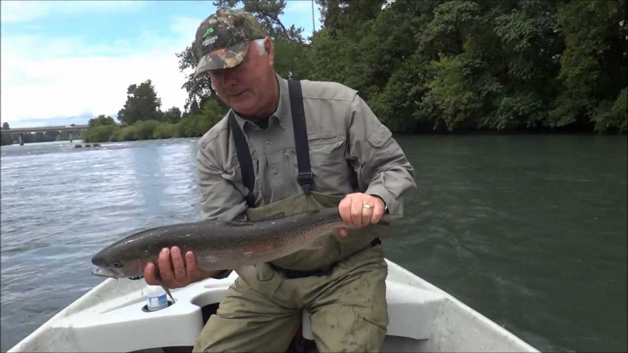Fly Fishing For Willamette River Summer Steelhead