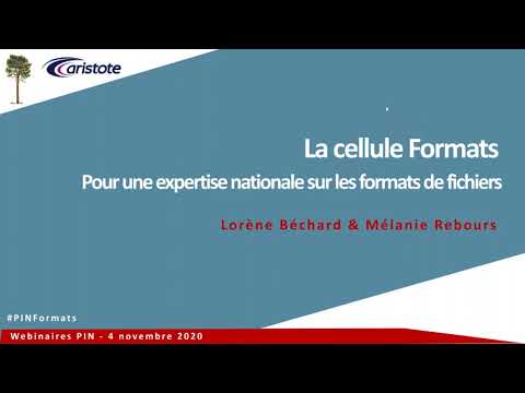 « La cellule Formats – pour une expertise nationale sur les formats de fichiers »