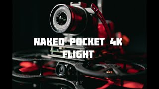 Naked Blackmagic Pocket Cinema Camera 4k (FPV)