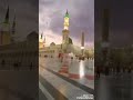 يازائرا الحبيب بلغ سلامي انشاد مدح النبي صلى الله عليه واله وسلم منشد سوري 