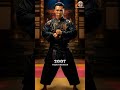 Donnie Yen From Ip Man To Legend 