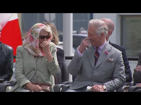 Video: Princ Charles Anglie Testuje Pozitivní Na Koronaviry