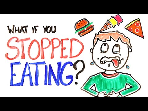 What Happens To Your Body When You Stop Eating?