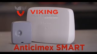 Environmentally Friendly Mice Pest Control | Viking Pest Control
