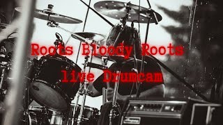 Roots bloody Roots (Live) - Sepultura cover