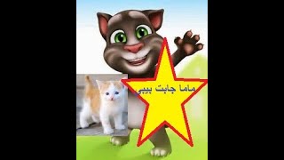 القط توم يغنى ماما جابت بيبي (بدون إيقاع)- طيور الجنان  Tom cat singing Mama jabit baby