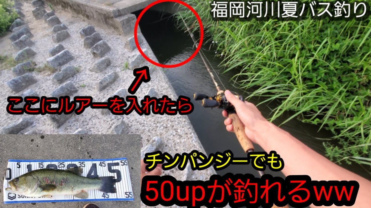 バスビート コスパ最強ロッドbass Beat で釣りまくる バス釣り 野池 アブガルシア キッズ歓喜 学生の味方 Youtube バスビート コスパ最強ロッドbass Beat で釣りまくる バス釣り 野池 アブガルシア キッズ歓喜 学生の味方 Youtube