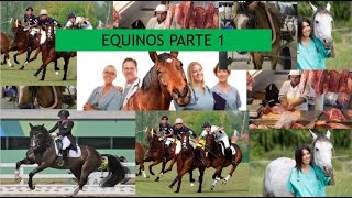 Equinos Parte 1 - Zootecnia