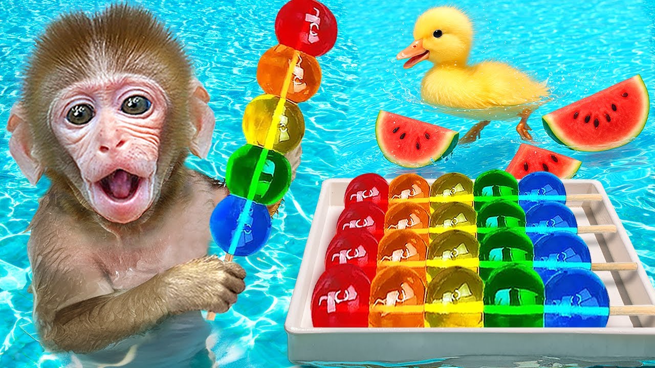 Macaco BuBu Faz Sorvete Arco Íris No Parque De Águas Da Piscina | BuBu Em Português