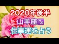 2020年後半タロット占い🌙山羊座の仕事運🌙運気アップの方法は?