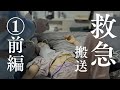 【動脈瘤破裂】5/30救急搬送→ICU入院までの全貌お話しします