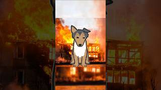 The Brave Dog...who Saved Lives And Hearts