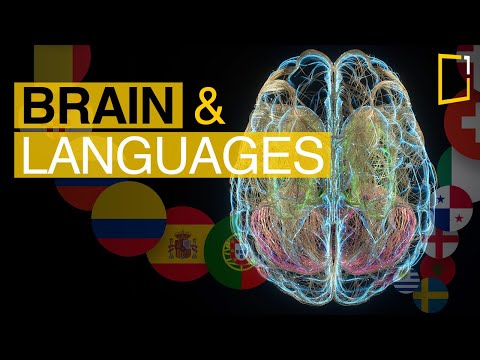 Brain Sides and New Language Learning | Science