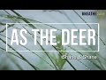 [Lyric Video] As the Deer -  Shane & Shane