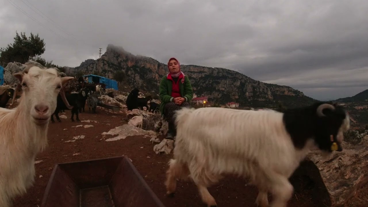Toroslar'ın yörük kızı Ayşe Erden kimdir?