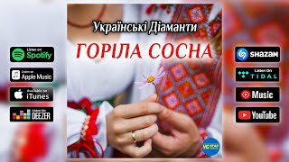 Українські Діаманти - Горіла сосна