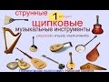 1 Струнные щипковые музыкальные инструменты