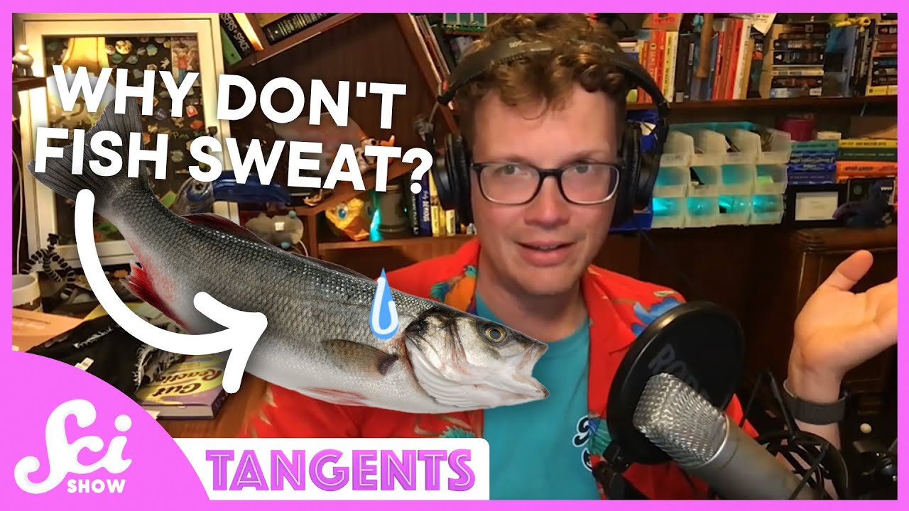 Sweat | SciShow Tangents Podcast