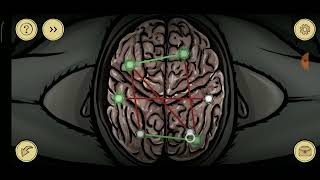Strange Case 2: Asylum - Chapter 3 Official Walkthrough | 2 Endings |