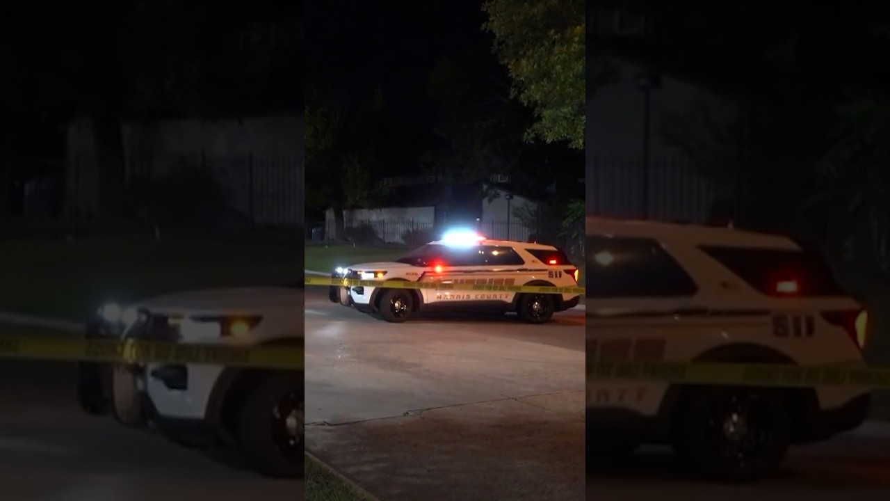 Child killed in a potential road rage shooting in Texas