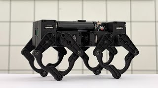 Design of Q8bot: A Miniature, Low-Cost, Dynamic Quadruped Built with Zero Wires [Accepted IROS 2025]