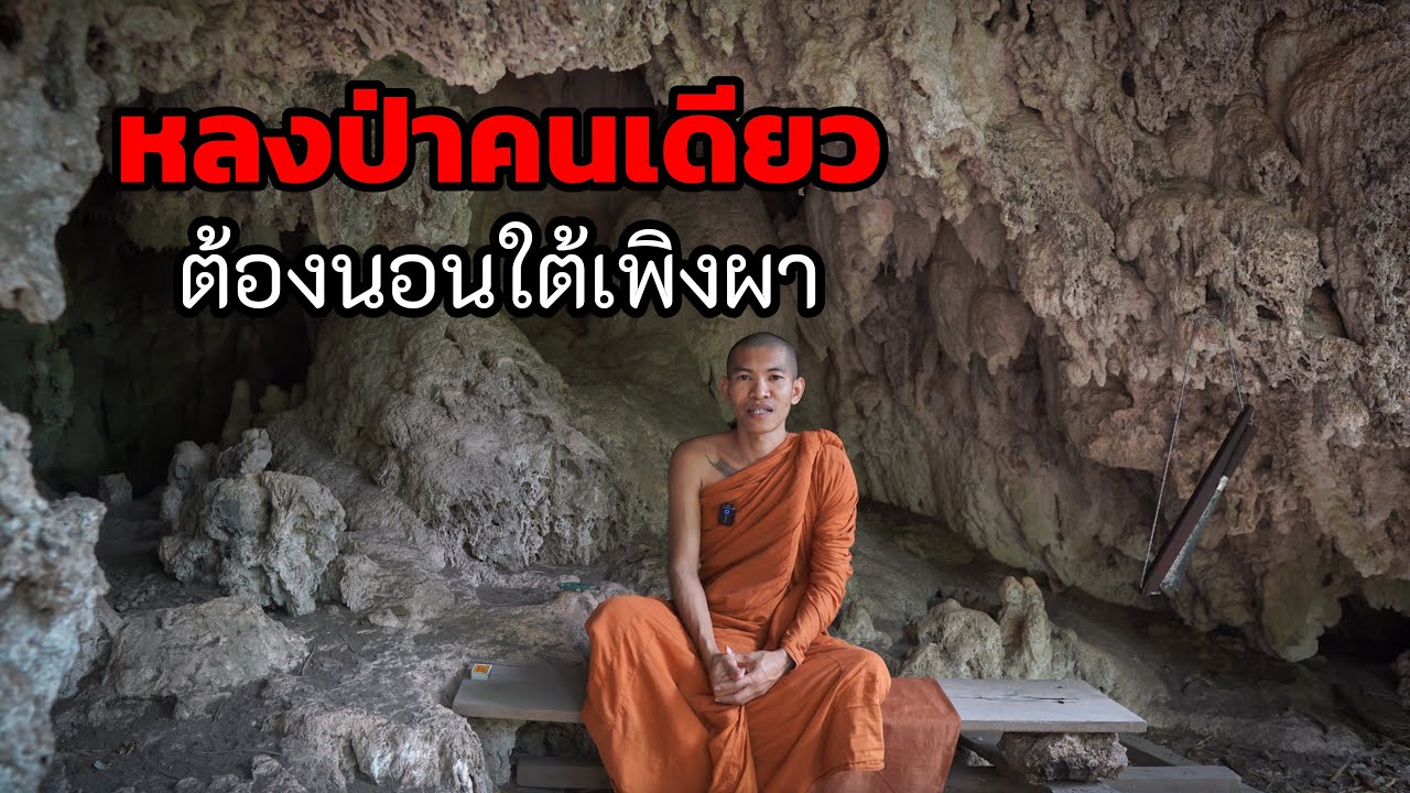 เดินหลงป่าคนเดียว ต้องไปนอนใต้เพิงผา ลูกมะเดื่อ กล้วยป่าคือผลไม่ชั้นเลิศ เสียงป่าสะอื้น