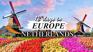 เที่ยวคนเดียว 12 วันในยุโรป EP.3/5 - เนเธอร์แลนด์ประเทศที่ครบรสที่สุด ดินแดนแห่งศิลปะ - ลุยเที่ยวหลง