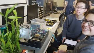 Information Technology program