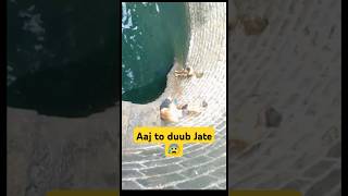 Aaj to duub jate😰 #shorts #ytshorts #minivlog #vlog #dypkolhapur #swimming