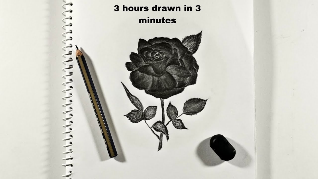 How To Draw A drawings || Black Rose Drawing || Time-lapse🌹 - YouTube