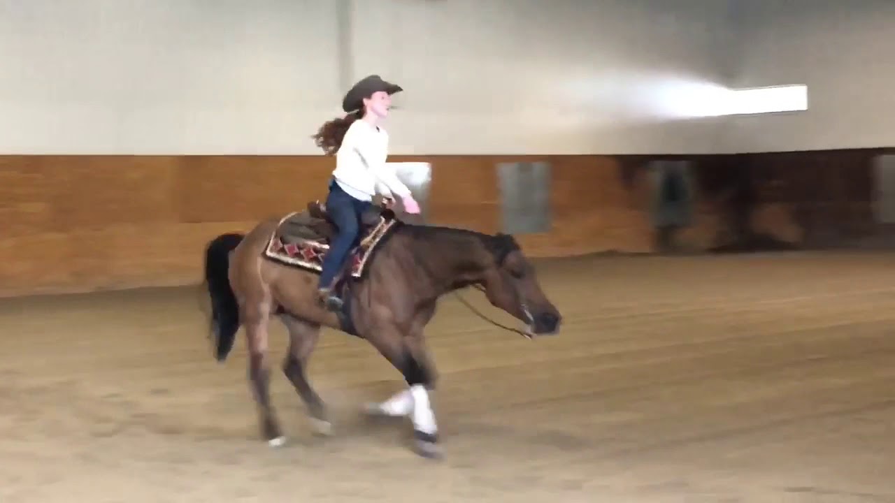 Lil Gun N Rum You Lil Gun N Rum Islide Performance Horses