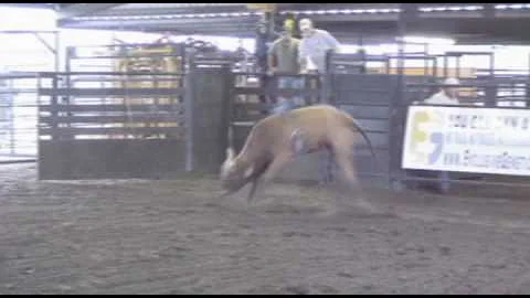 2010 Futurity Bull R2482B owned by Gary Fortier of...