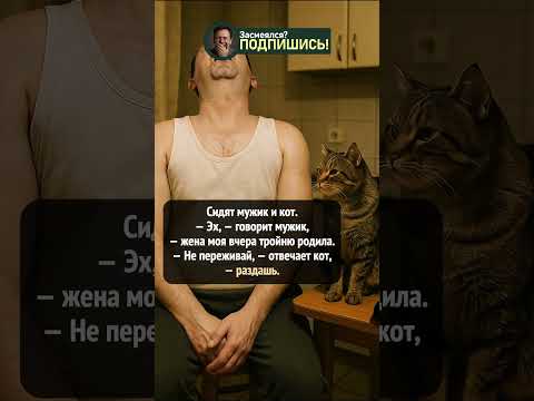 Мужик делится новостью с котом 🐱 А тот уже придумал решение 😂 #shorts #прикол