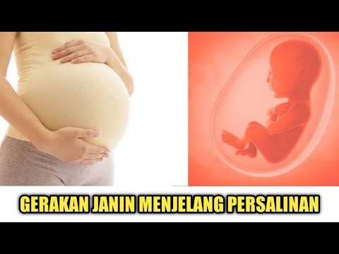 Begini Gerakan Janin yang Normal di Bulan-bulan Menjelang Persalinan