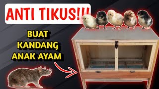 ANTI-RAT!!! EASY TRICKS FOR MAKING A DOC BOX OR CAGE FOR NEWLY HATCHED CHICKENS