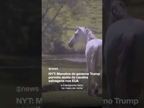 NYT: Manobra do governo Trump permite abate de cavalos selvagens nos EUA