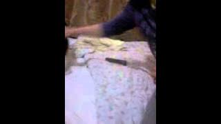 Tàmad és harap a cica.