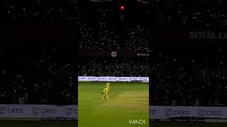 Croud of csk fan's #csk #trend #cricket #trending #facts #video #viral #reels
