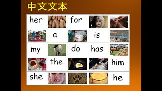Visual Literacy Bingo 5 Teacher guide with Chinese text with sight words for ELL students.