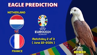 UEFA EURO 2024 PREDICTIONS | Netherland vs France | Eagle Prediction