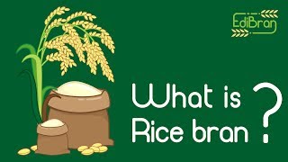 What is Rice bran?