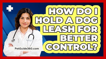How Do I Hold A Dog Leash For Better Control? - PetGuide360.com