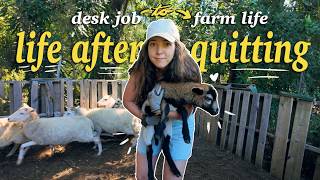 a REALISTIC day in my life after quitting my 9-5 (to work on a farm)