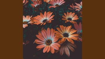 Pulsating Moods for Devoted Smiles