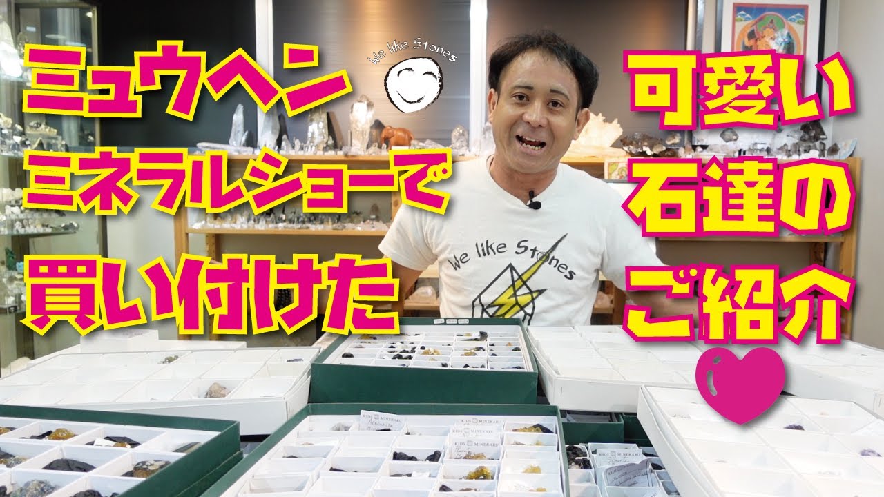 [ドイツ🇩🇪ミュンヘンミネラルショーで仕入れた石たち！]過去最大量⁉️700個もヨーロッパの石を仕入れました