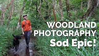 Enjoy Woodland Photography and Sod Epic! @SimonBaxterPhotography