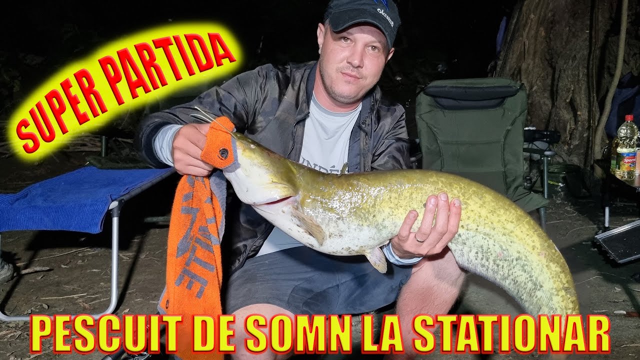 PESCUIT DE SOMN LA STATIONAR