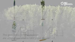 How does UAV laser scanning work in forest observations?