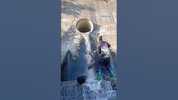 Cá Lớn - hứng Cá Chép Khủng rơi khỏi cống nước 😱 #khacthuyvlogg