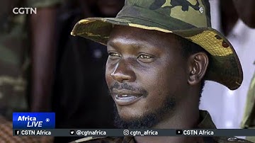 The rise of Allied Democratic Forces